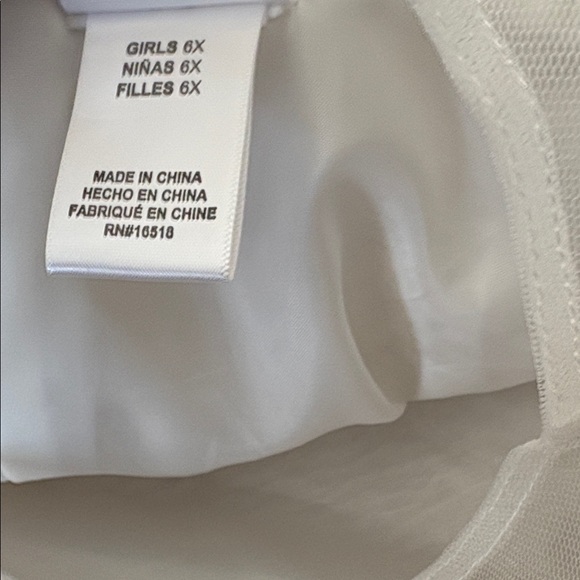 Sweet Heart Rose silver metallic with embroidered trim, tie and zip back,size 6X - Picture 6 of 9